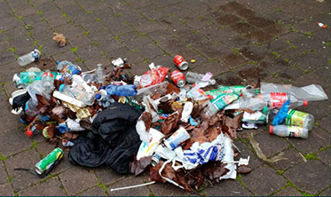 Déchets ramassés à Strasbourg par le collecteur River Whale 